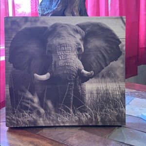 Elephant Wallhanging